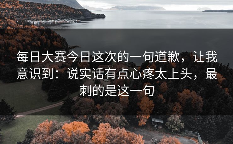 每日大赛今日这次的一句道歉，让我意识到：说实话有点心疼太上头，最刺的是这一句